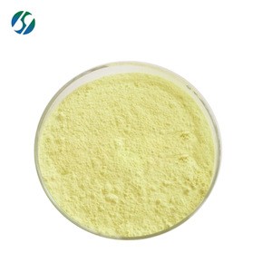Manufacturer high quality Zein (Corn Protein) with best price 9010-66-6
