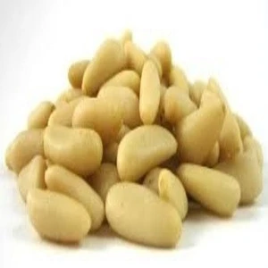 Mediterranean Pine Nuts Kernel | Pine Nuts Supplier