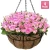 Import Metal Hanging Planter Basket Flower Pot Basket Coco Coir Liner For Indoor Outdoor Garden Decor from China