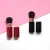 Import Metal Portable Cosmetic Brush Customize Retractable Foundation Brush Fluffy Makeup Powder Brush from China