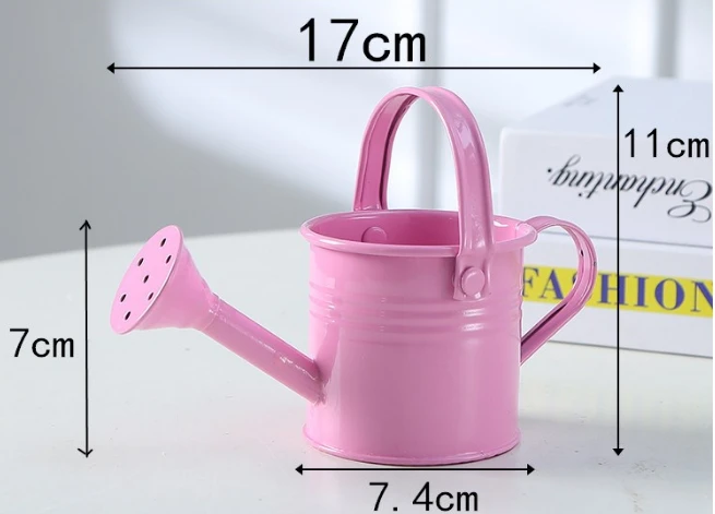 Mini Water Sprayer Gardening watering pot hand pressure sprayer bottle iron plant sprayer flower watering can