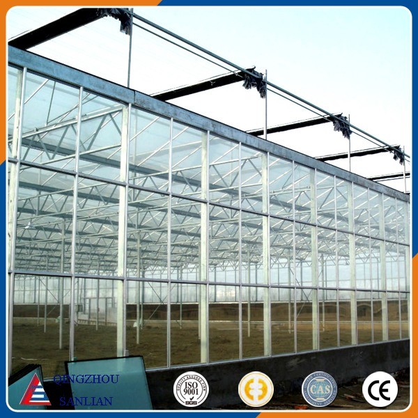 multi span Venlo glass agriculture greenhouse