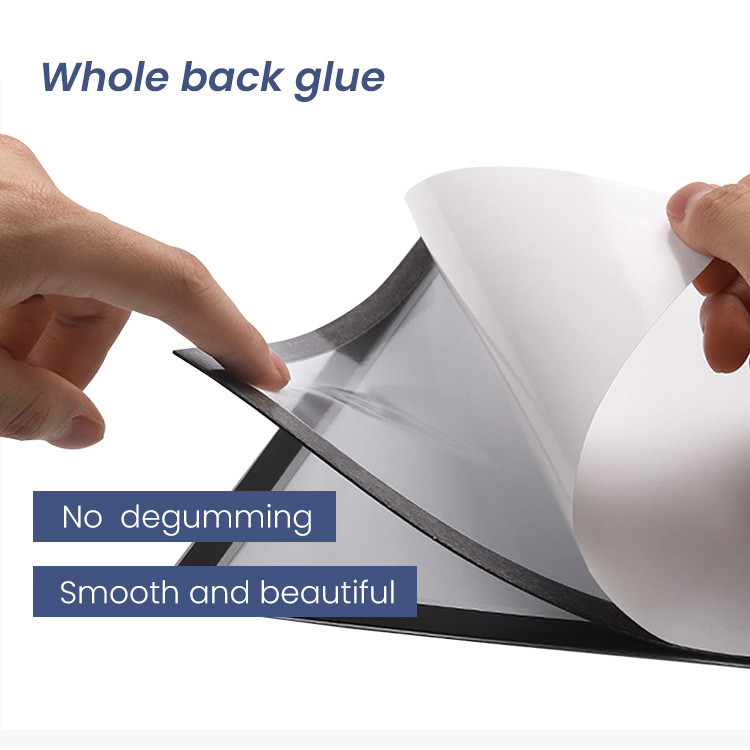 Buy Multiple Color Vertical A4 Clear Plastic Insurance Document File ...