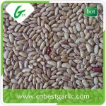 Mytext Growing speckled butter light speckled kideny beans shape