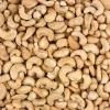 High Quality 100% Natural Cashew Nuts in Reasonable Price