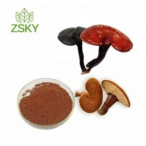Natural and Pure Glossy Lingzhi Ganoderma Lucidum/Reishi Mushroom Plant Extract Powder 10% to 30% 50% Polysaccharides 20.1 30.1
