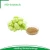 Import Natural Hops Extract 5% Xanthohumol By HPLC from China