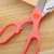 Import New arrival home kitchen scissor high quality shears stainless steel kitchen cookhouse strong scissors from China