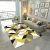 Import new arrival modern machine washable living room carpets and rugs from China