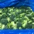 Import New Crop Quality Assurance IQF Vegetables Frozen Broccoli from China