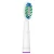 Import New design replacement toothbrush head from China