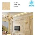 New designs popular products watches with CE certificate