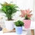 Import New product free sample modern style garden decorations self watering round plastic flower pot from China