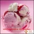 Import Non Dairy Creamer for Ice Cream Factory Direct Sell from China