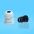 Import Nylon Cable Glands with no hole rubber 1/2 npt from China