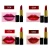 Import OEM Wholesale Cosmetic Waterproof Colorful Makeup Private Label Shinning Lipstick from China