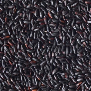 Organic bulk Black Rice For Sale