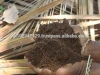 Organic compost making bacteria with agricultural waste into rich homogeneous compost preparation