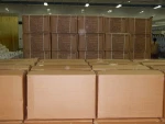 Organic Cotton Yarn for Knitting and Weaving
