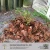 Import Other Garden Supplies Pine Bark Mulch from China