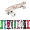 Ouweinuo 22 Inch skate board Chinese Factory Wholesale Custom Printed penny skateboard