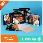 Pain Relief Heat Patch for Arthritis Capsicum Plaster Chilli Plaster
