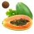 Import papaya extract powder papaya leaf extract powder papaya seed extract powder from China