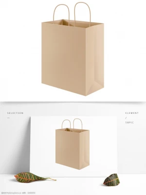 Gift Paper Bag, Luxury Carrier Paper Bag, Kraft Paper Bag for Lunch