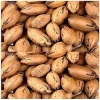 Pecan nuts