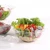 Import plastic bowl disposable 500ml plastic PET bowl 16oz salad packaging bowl from China
