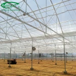 Plastic film tropical greenhouse with plastic cover for sale