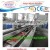 plastic green WPC PE profile line machinery for decking with high quality