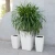 Import plastic pots for nursery plant from China