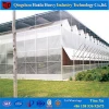 Popular products attractive fashion pe film vegetable greenhouse
