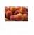 Import Premium Quality Fresh Peaches from Canada