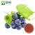 Import Procyanidin B2 Grape Seed Extract Suppliers from China