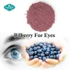 Pure Plant Extract Blueberry Extract Bilberry Extract