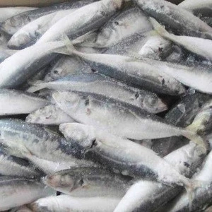 Qulaity Frozen Sardine Fish 80-100 Frozen Seafood Exporters