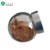 Raw brown alkalized 100 unsweetened cocoa cacao powder brands price