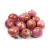 Import Red onion fresh export with best market price /  Red Onion from South Africa