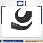 Reliable Market Price Exceptional Quality Sustainable Pet Food Natural Water Buffalo Horn Dog Chew Long-Lasting for Medium Dogs
