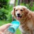 Import Rena Pet Dog Fashion Travel Water Bottle Leak Proof Portable Dispenser with Feeder for Outdoor from China