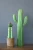 Import Resin Naturally Green Cactus Garden Artificial Outdoor Plants from China