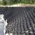 Import road envirogrid geocell hdpe plastic geocell price for soil stabilization from China
