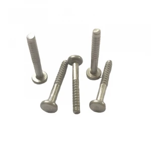 Round head Back teeth screw stainless steel self tapping screws  2.5*20