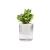 RUIPU Self-absorbing Flowerpot Plastic Flower Pots For Plants Gardening Home &amp; Garden Plant Transparent Self Watering Flowerpot