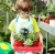 Import Seed Pots Seedling Tray 75pcs 4 Inch Planting Pots Transplant Pots for Nursery Garden Planter Home Decor from China