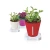 Import Self Watering Kit from South Korea