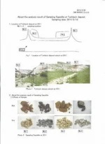 sepiolite