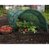 Shade Netting Grow Tunnel Garden Cloche Strawberry Greenhouse